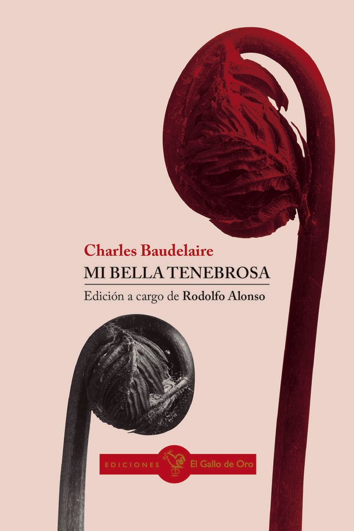 MI BELLA TENEBROSA, de ALONSO, RODOLFO | portada del libro