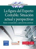 FIGURA DEL EXPERTO CONTABLE: SITUACION ACTUAL Y PERSPECTIVAS, LA, de ACCID | portada del libro