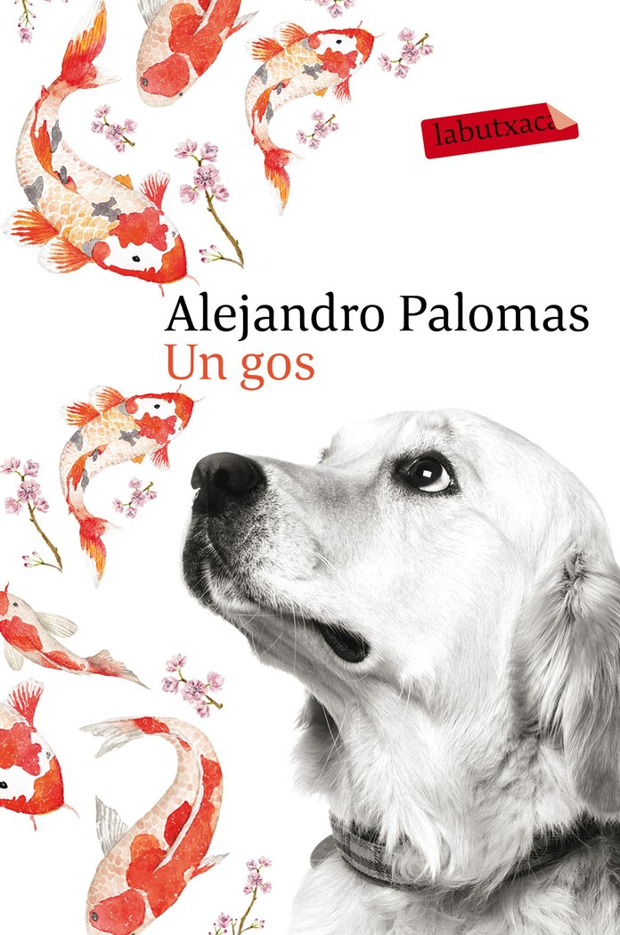 Un gos, de Palomas, Alejandro | portada del libro