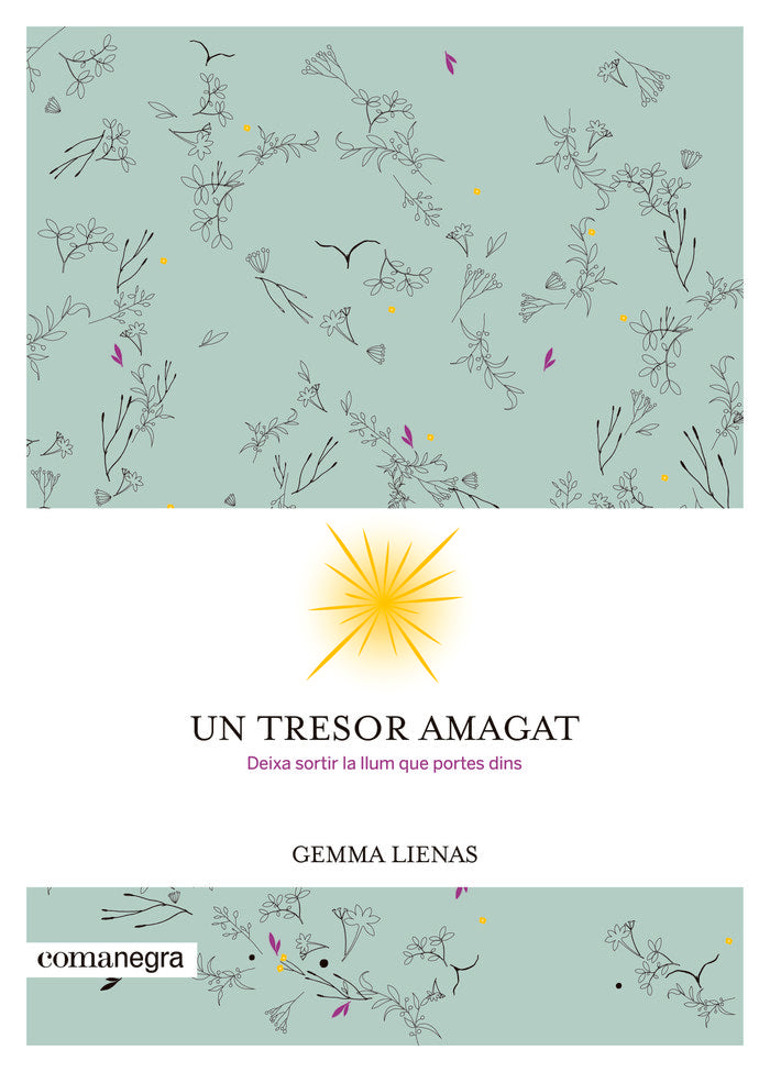 Un tresor amagat, de Lienas Massot, Gemma | portada del libro