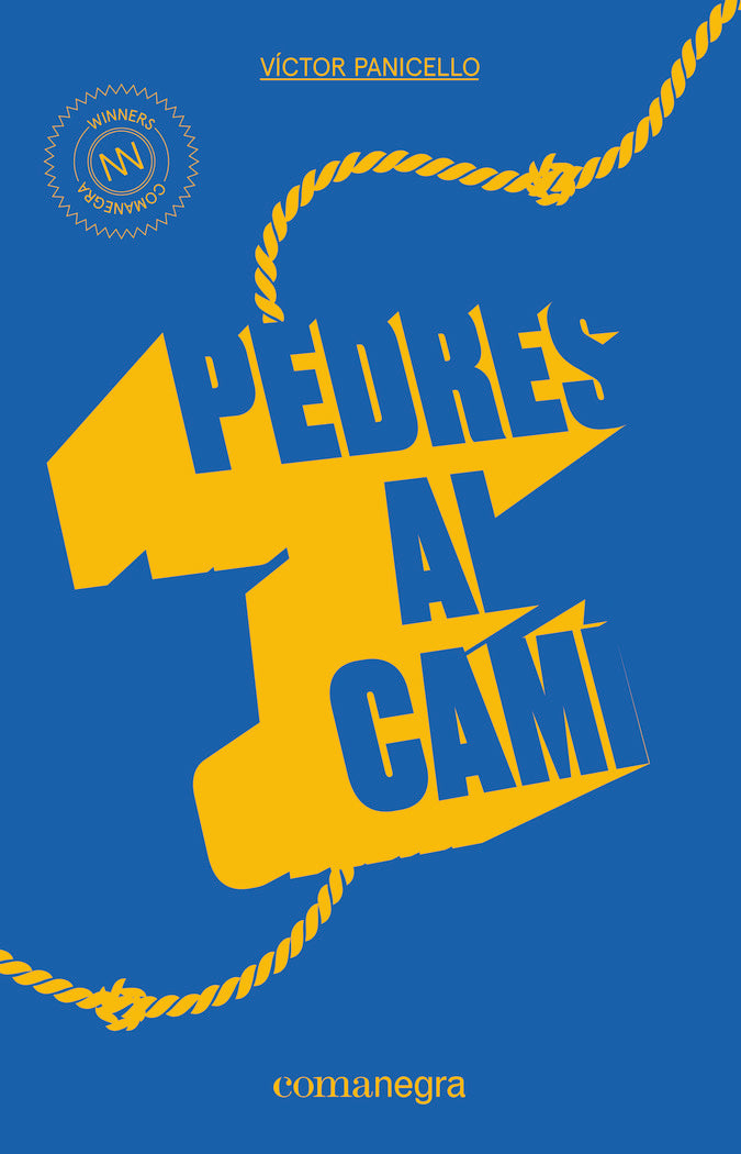 Pedres al camí, de Panicello Monterde, Víctor | portada del libro