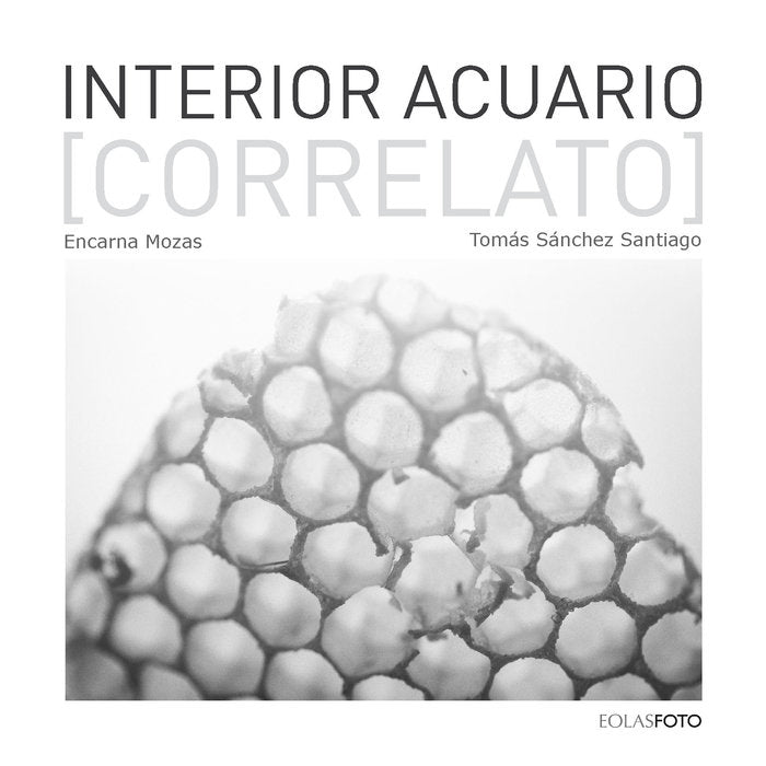 INTERIOR ACUARIO, de SÁNCHEZ SANTIAGO, TOMÁS | portada del libro
