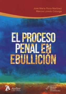 El proceso penal en ebullición. | portada del libro