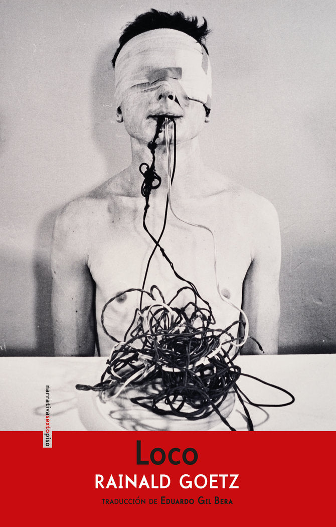Loco, de Goetz, Rainald | portada del libro