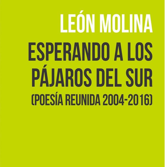 Esperando a los pájaros del Sur, de Molina Pantiga, León | portada del libro
