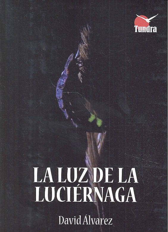 LUZ DE LA LUCIERNAGA, LA, de ALVAREZ | portada del libro