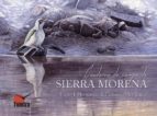 CUADERNO DE CAMPO DE SIERRA MORENA, de Víctor J. Hernández | portada del libro
