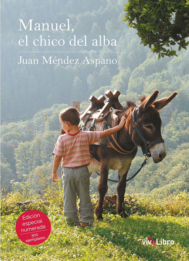 Manuel, el chico del alba, de Méndez Aspano, Juan | portada del libro