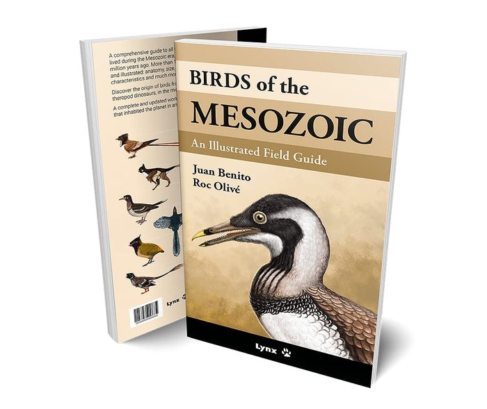 BIRDS OF THE MESOZOIC, de JUAN BENITO#ROC OLIVE POUS | portada del libro
