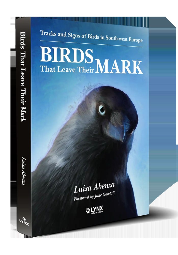 BIRDS THAT LEAVE THEIR MARK, de LUISA ABENZA | portada del libro