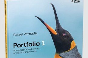 PORTFOLIO 1 (INGLES), de ARMADA, RAFAEL | portada del libro