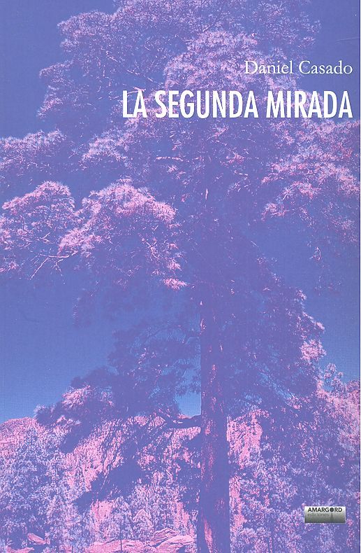LA SEGUNDA MIRADA, de CASADO, DANIEL | portada del libro