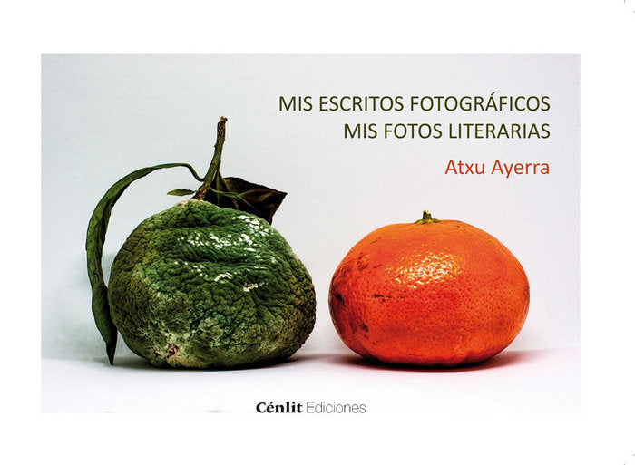 Mis escritos fotográficos. Mil fotos literarias, de Ayerra Alfaro | portada del libro