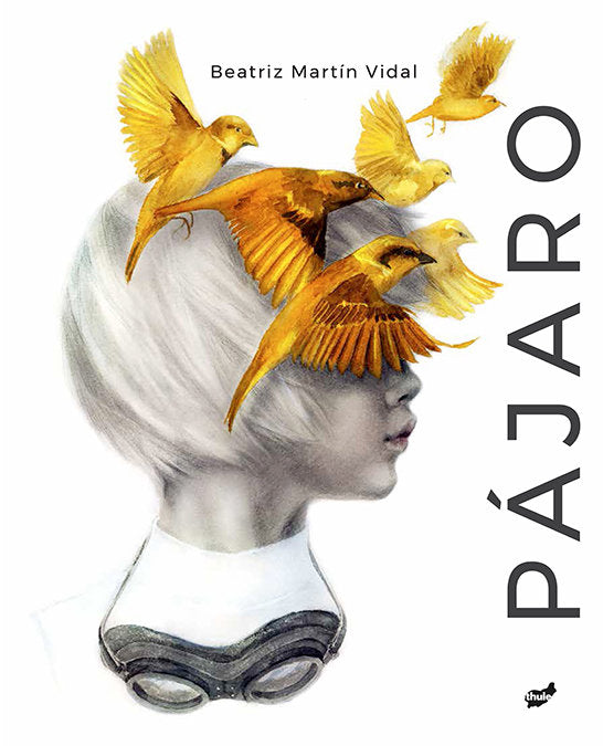 Pájaro, de Martín Vidal, Beatriz | portada del libro
