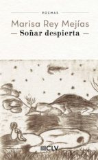 Soñar despierta, de Rey Mejias | portada del libro