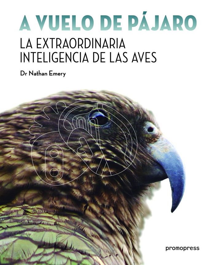 A VUELO DE PAJARO, de NATHAN EMERY | portada del libro
