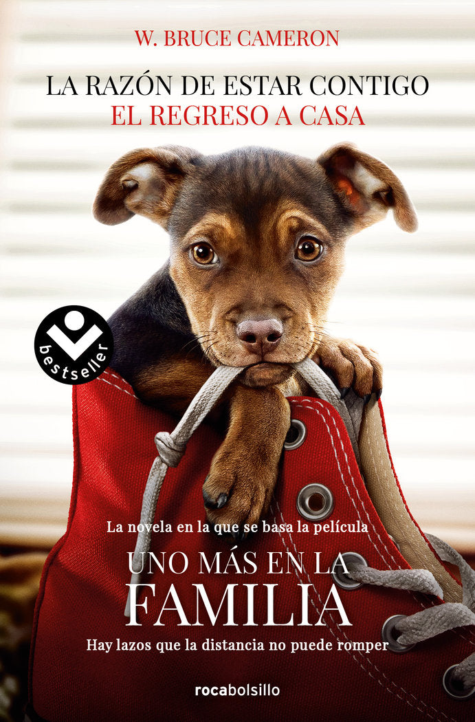 La razón de estar contigo. El regreso a casa, de Cameron, W. Bruce | portada del libro