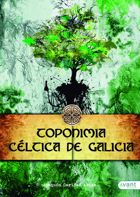 Toponimia céltica de Galicia, de Caridad Arias, Joaquín | portada del libro