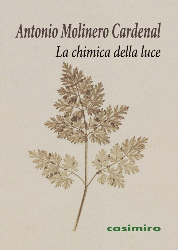 La chimica della luce, de Molinero Cardenal, Antonio | portada del libro