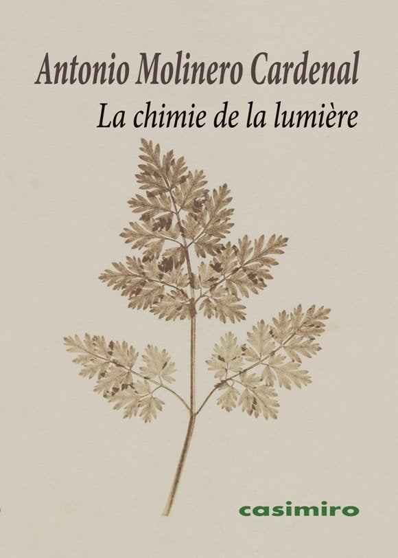 La chimie de la lumière, de Molinero Cardenal, Antonio | portada del libro