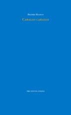 CABALLO CABALLO, de Beatriz Blanco | portada del libro