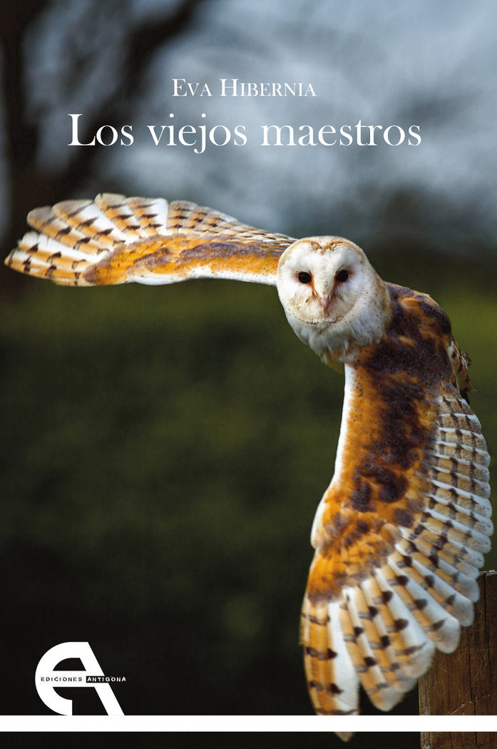 Los viejos maestros, de Hibernia, Eva | portada del libro