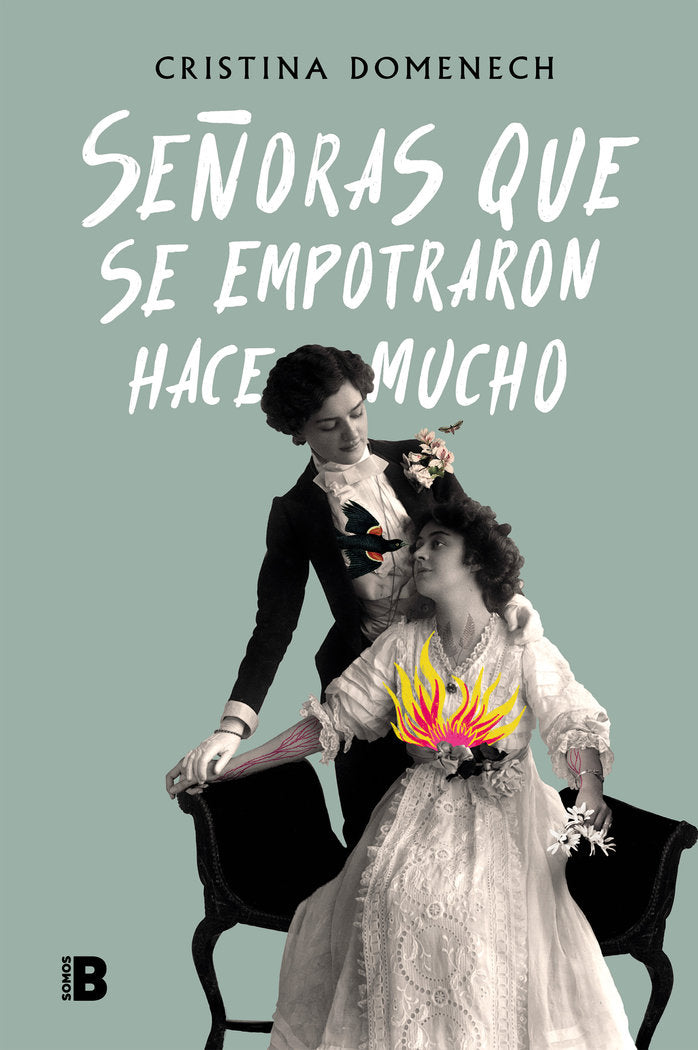 Señoras que se empotraron hace mucho, de Domenech, Cristina | portada del libro