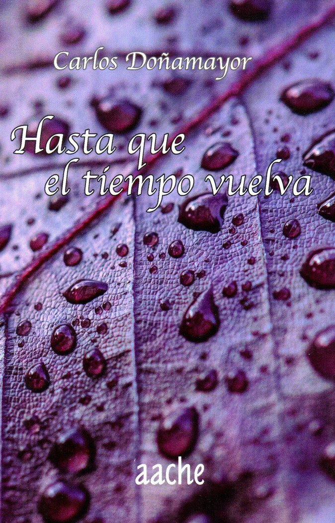 Hasta que el tiempo vuelva, de Doñamayor Hernández | portada del libro