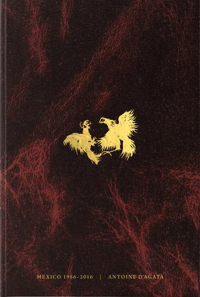 Codex, de Varios autores | portada del libro