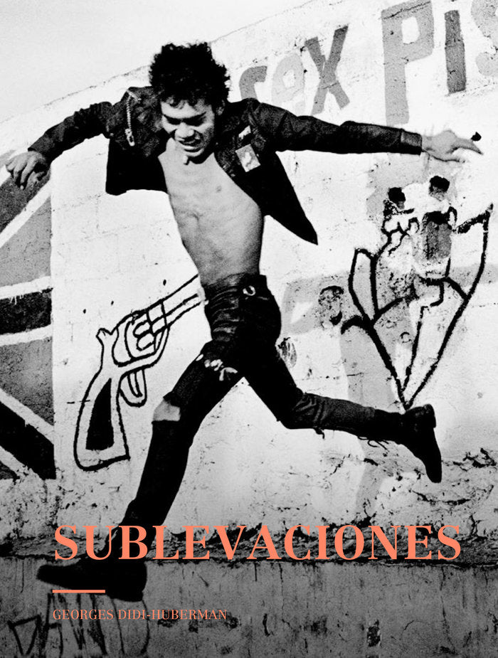 SUBLEVACIONES *, de Didi-Huberman | portada del libro