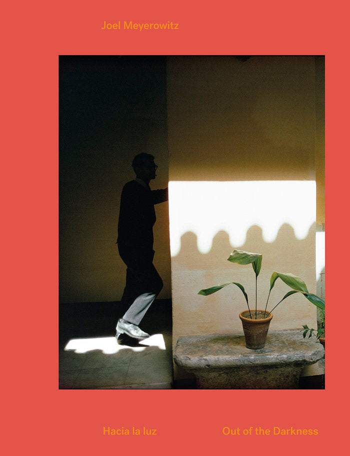 Hacia la luz., de Meyerowitz | portada del libro