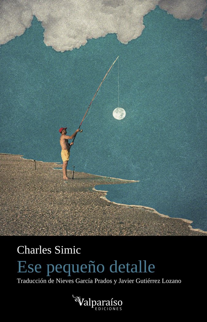 ESE PEQUEÑO DETALLE, de SIMIC, CHARLES | portada del libro