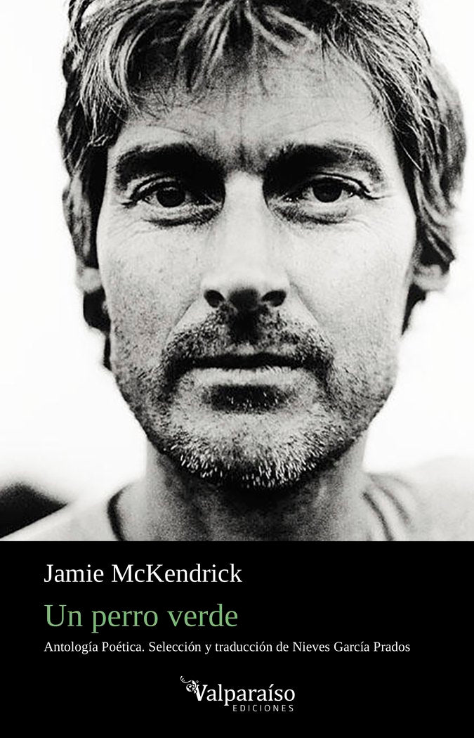 UN PERRO VERDE, de MCKENDRICK, JAMIE | portada del libro