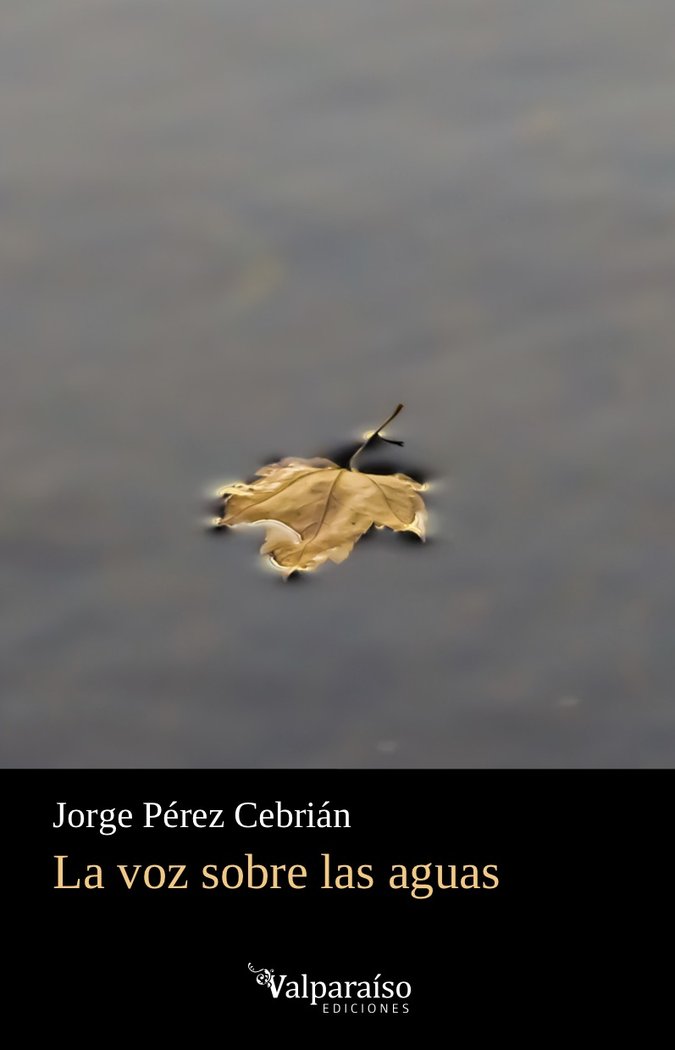 LA VOZ SOBRE LAS AGUAS, de PÉREZ, JORGE | portada del libro