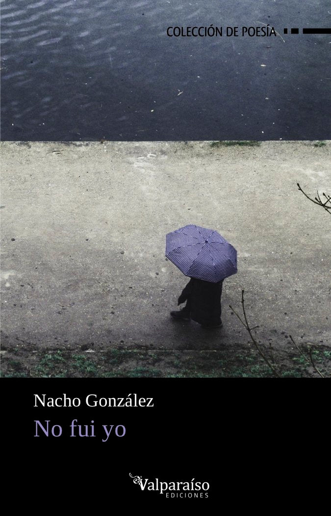 NO FUI YO, de NACHO GONZÁLEZ | portada del libro