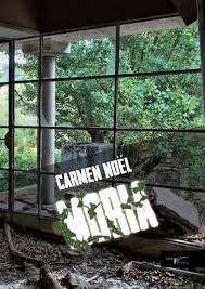 Moria, de Noel Barreda | portada del libro