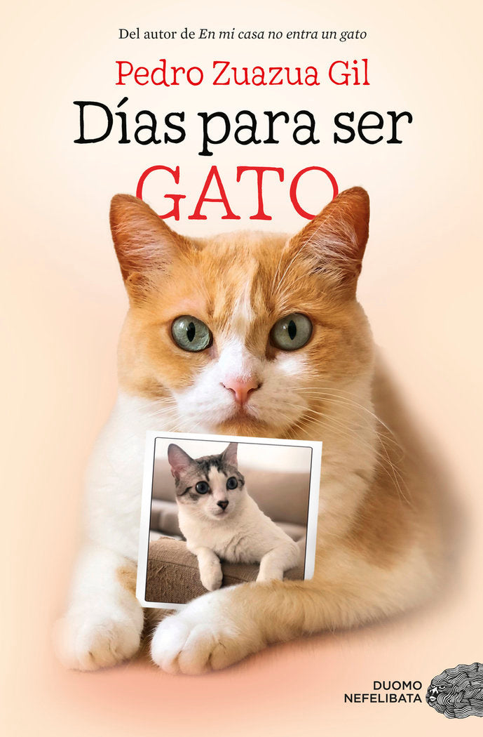 Días para ser gato, de ZUAZUA GIL, PEDRO | portada del libro