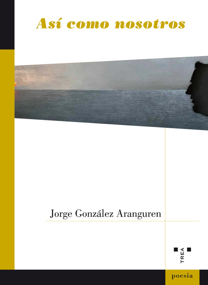 Así como nosotros, de González Aranguren, Jorge | portada del libro