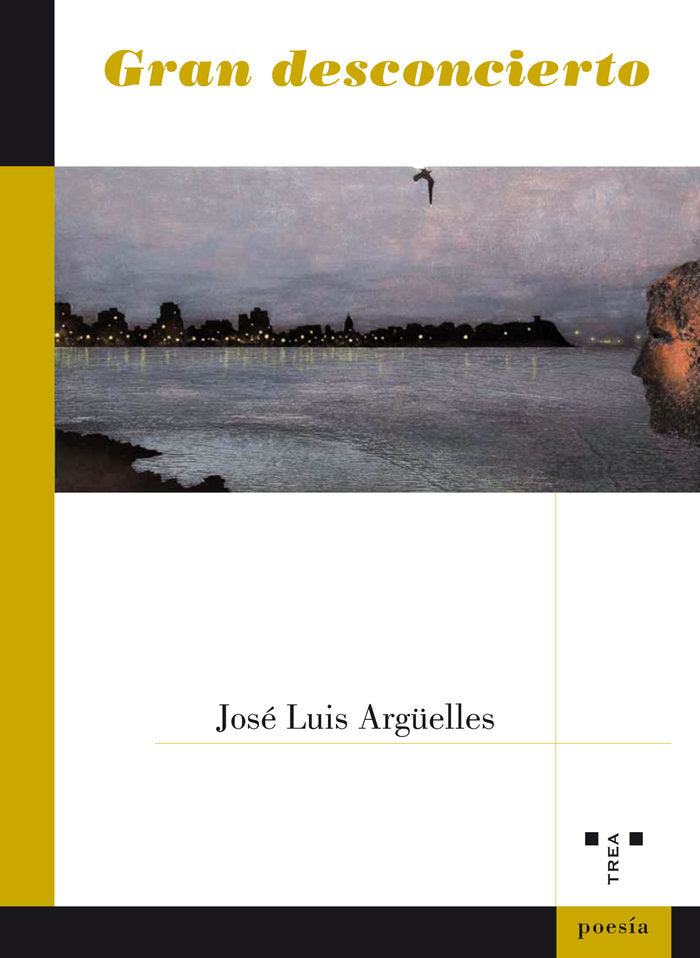 Gran desconcierto, de Argüelles Argüelles, José Luis | portada del libro
