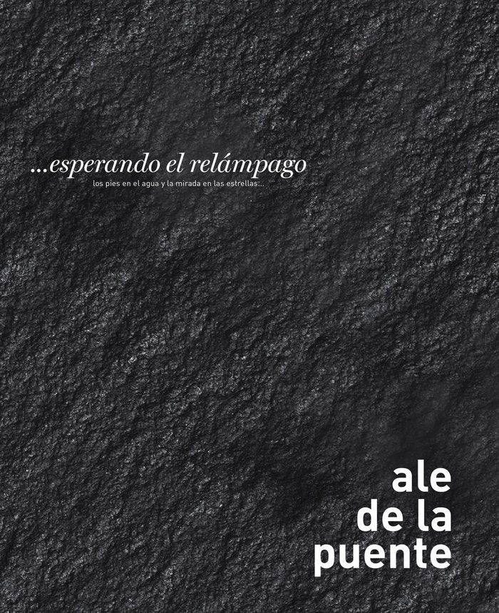 ...esperando el relámpago, de Ale de, la Puente | portada del libro