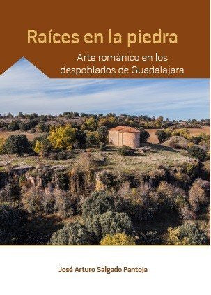 RAICES EN LA TIERRA ARTE ROMANICO EN LOS, de SALGADO PANTOJA, JOSE ARTURO | portada del libro