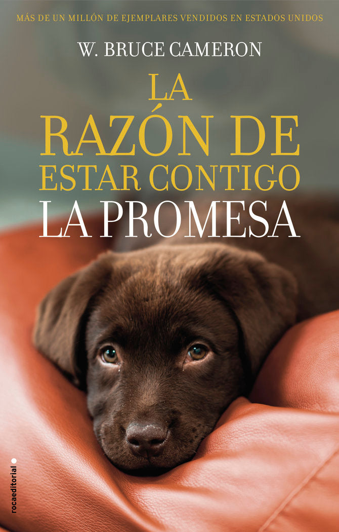 La razón de estar contigo. La promesa, de Cameron, W. Bruce | portada del libro