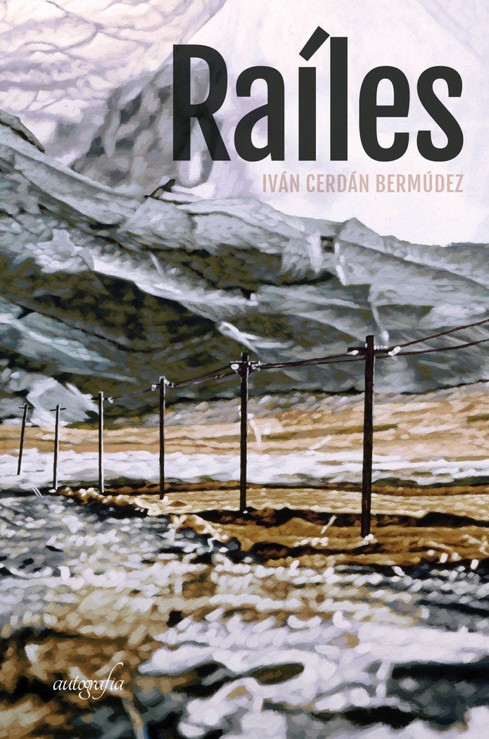 Raíles, de Cerdán Bermúdez, Iván | portada del libro