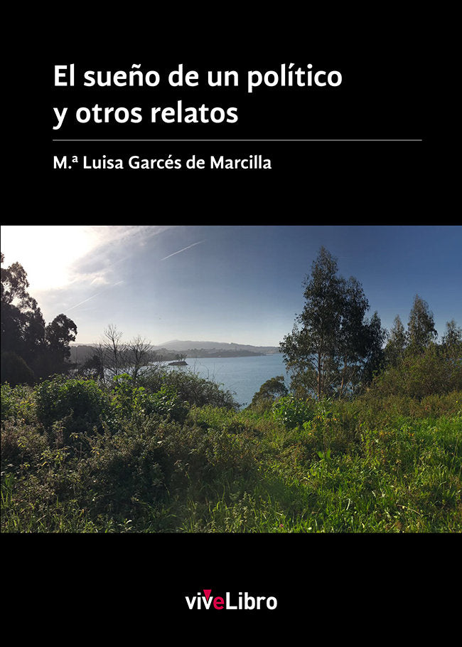 El Sueño de un político y otros relatos, de Garcés de Marcilla, Mª Luisa | portada del libro