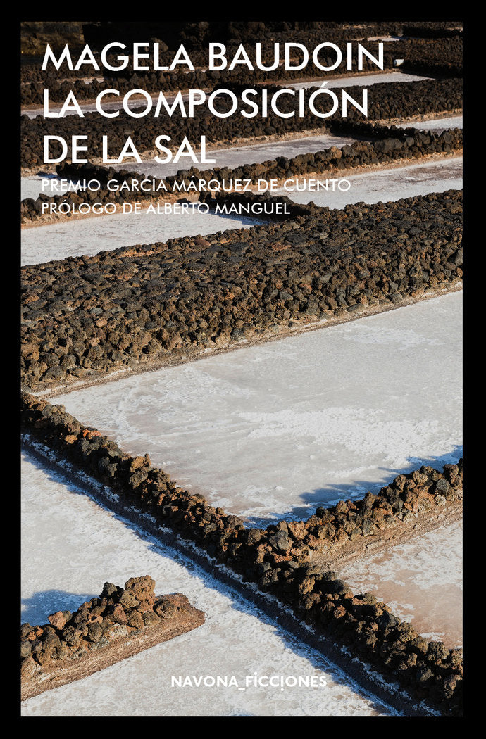 La composición de la sal, de Baudoin, Magela | portada del libro