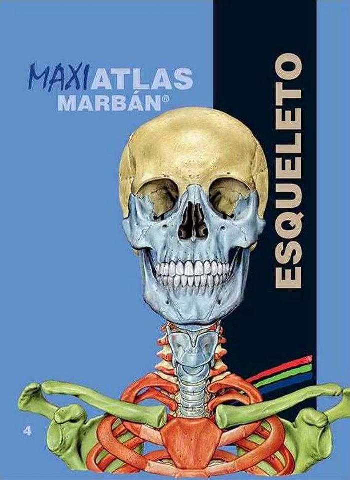 Maxi Atlas 4 Esqueleto, de Varios autores | portada del libro