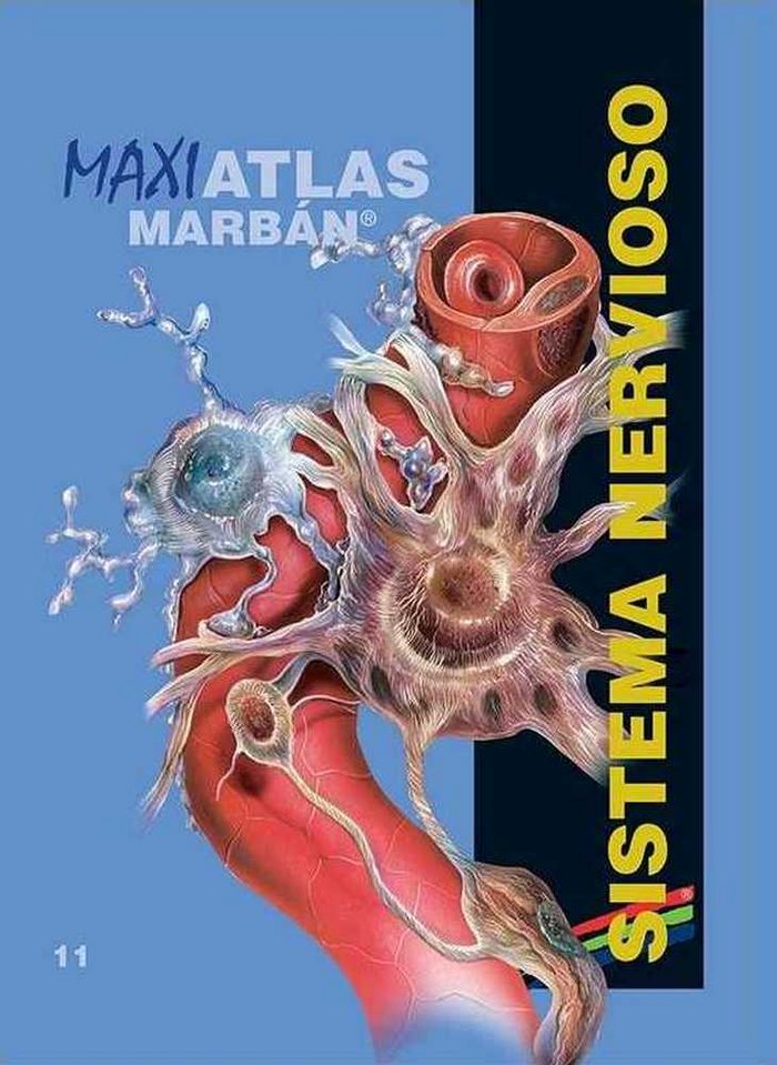 Maxi Atlas 11 Sistema Nervioso, de Varios autores | portada del libro