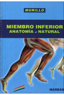 Miembro Inferior Anatom¡a al Natural, de Varios autores | portada del libro