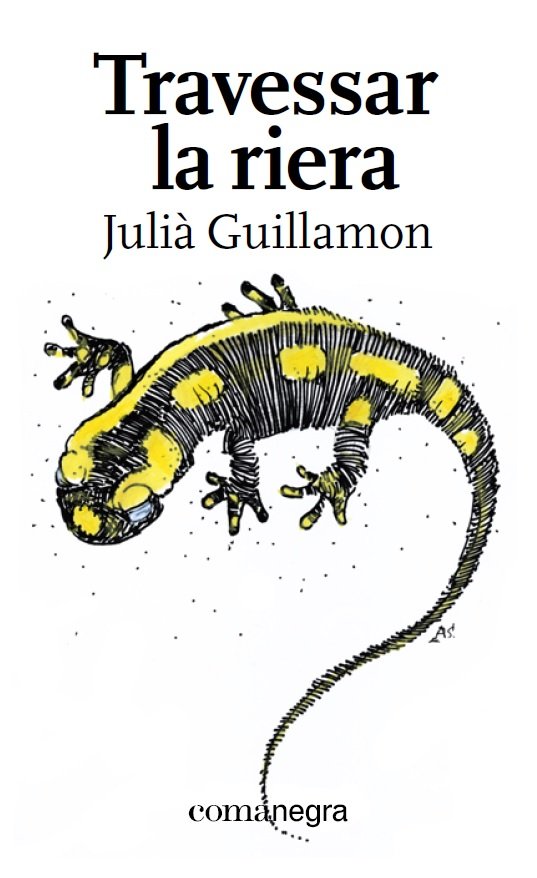 Travessar la riera, de Guillamon Mota, Julià | portada del libro