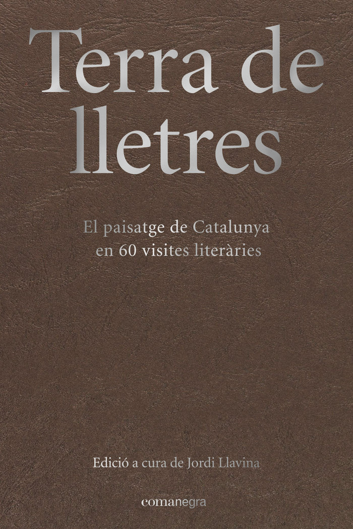 Terra de lletres, de LLAVINA, JORDI | portada del libro